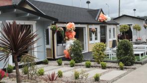 Ireland's leading log cabin installers relaunch with new stores across the country