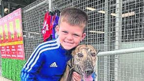 Derry Greyhounds: Finalists confirmed for upcoming Memorial Gala Night