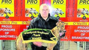 Derry Greyhounds: Blackstone Chris most impressive at Brandywell