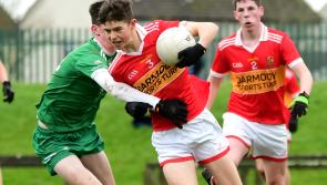 Moycarkey Borris hold off late Golden siege to claim U17B county football title