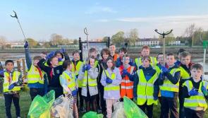 PHOTOS: Dundalk Tidy Towns says thank you for great Spring Clean effort