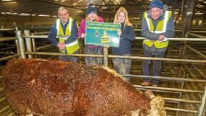Young Offaly twins support fundraising drive for Midlands hospice