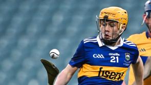 Toomevara reach the last eight of Tipperary's County Senior Hurling Championship
