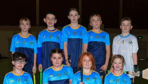 IN PICTURES: Derry City Primary Schools' Hurling Championship 2024