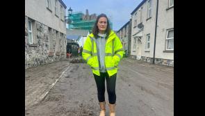 Support required for Louth farmers after “devastating” flooding, says local senator