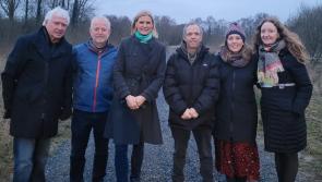 Bog boardwalk in Offaly to open to public in coming weeks