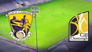Limited number of tickets left for much-anticipated Kilkenny versus Wexford clash