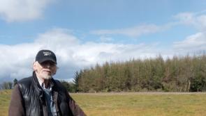 Experienced Longford plough man embarks on new adventure at National Ploughing Championships