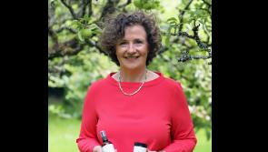 Local entrepreneur to represent Louth at National Ploughing Championships