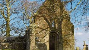 Roscrea Trail Blazers - this Thursday's walk is the Silver River at Cadamstown