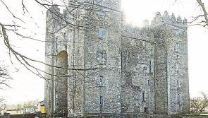 Clare TD wants 'transfer' of Shannon Heritage assets completed 'without delay'