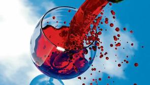 Theft of wine from O’Dwyer’s Centra supermarket in Thurles 