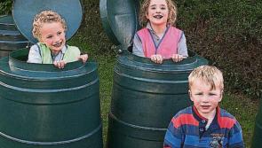 Laois community wants your help for the big spring cleane