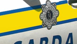 Thieves steal two generators from shed in rural Tipperary community 
