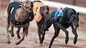 Same Old tune in Bill’s Thurles Greyhound Stadium quartet