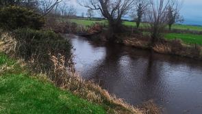 Louth one of only two counties to have no river waters of high ecological status- EPA