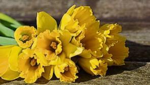Successful Daffodil Day coffee morning raises €3,000