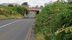Drivers advised to exercise caution due to summer overgrowth in Kilkenny