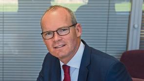 Target of  50,000 news jobs along Shannon Estuary 'is achievable' insists government minister 