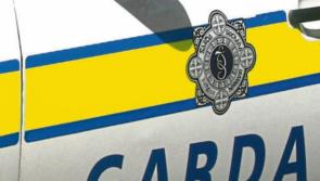 Limerick residents urged to lock doors and windows after Kilmallock break-in