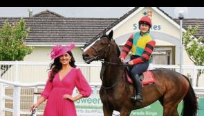 Ladies Day at Limerick Racecourse!