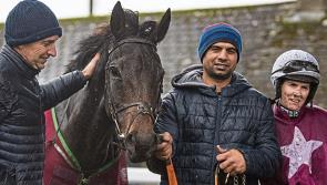 Henry’s horses fancied to disrupt Mullins mania on day one at Cheltenham
