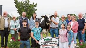 Focus swings to cows from birdies and eagles at Limerick farm