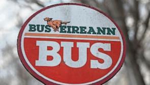 Expressway Route 64 will have accessible buses from summer says Councillor