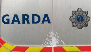 Two men arrested after armed robberies at two fast food outlets in Kildare