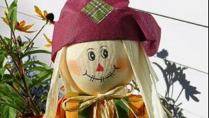 Local community in Kilkenny to be shown how to make the perfect scarecrow