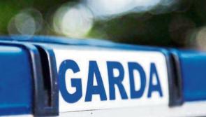 Gardaí appeal for witnesses to car break-in in Tipperary Town 