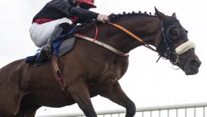Another week of winners for Kilkenny jockeys and trainers 