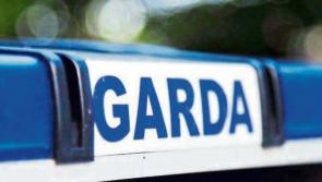 Tipperary gardaí investigate theft of diesel and gates in Hollyford area 