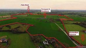 'Top class' Limerick dairy farm goes on the market for €2m