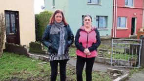 Anger in Limerick estate after wall is destroyed by 'speeding motorist'