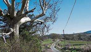 Rural Longford laneways set for further €114k boost
