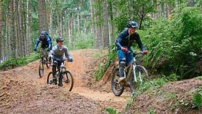 'Unprecedented impact' of Storm Éowyn dalays Laois Coillte development