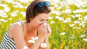 Helpful tips for hay fever sufferers as pollen season set to begin
