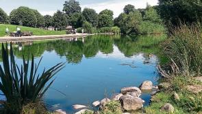 Dundalk gardai investigate after woman robbed in Ice House Hill Park