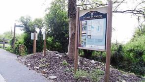 Reynolds-Flynn 'thrilled to see this significant funding ' - &euro;200,000 announced for Leitrim village 