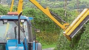 Leitirm County Council to increase pursuit of landowners that don't cut their hedges