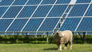 Proposed new county Longford solar farm will have capacity to supply about 19,000 homes