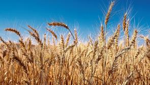 LATEST: Kildare County Council secures €25,000 funding for agri-food tourism projects