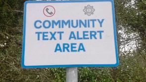 Laois Gardai urged to 'reanimate' community alert groups in Laois
