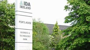 Laois had the fewest IDA supported jobs in Ireland in 2021