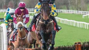 The South-East's richest horse race comes to Gowran Park this June - Kilkenny Live 