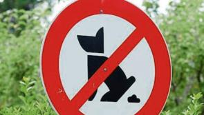 Dog fouling is a scourge across Kilkenny - it just has to stop