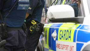 Man who tried to take gun from Garda during struggle avoids prison 
