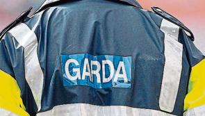 Rogue traders targeting vulnerable people, warn gardaí in Kilkenny/Carlow/Waterford