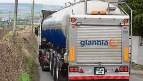 More ecologists recruited in Laois to check impact of Slieve Bloom&nbsp; bridge fix